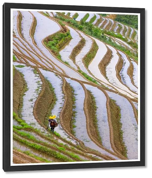 Long ji terrace rice workers, China