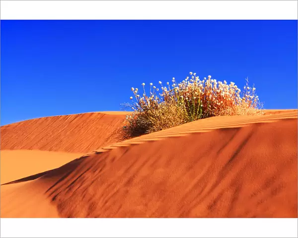 Perry Sandhills, Red Dunes Against Clear Blue Sky