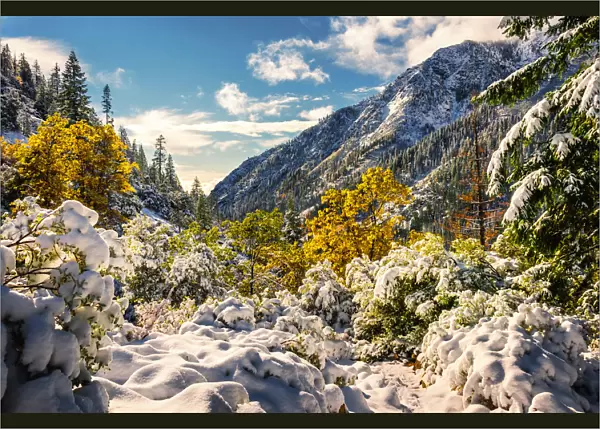 Heavy snowfall at Trinity Alps, California