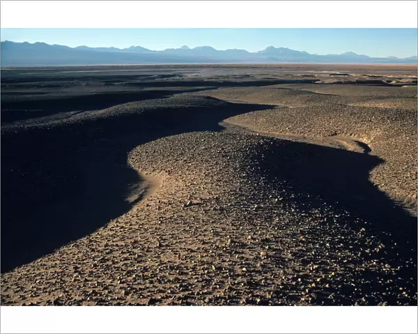 Desert plain with Andes Mountains in the background