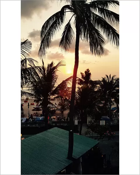 Bali Palms Sunset