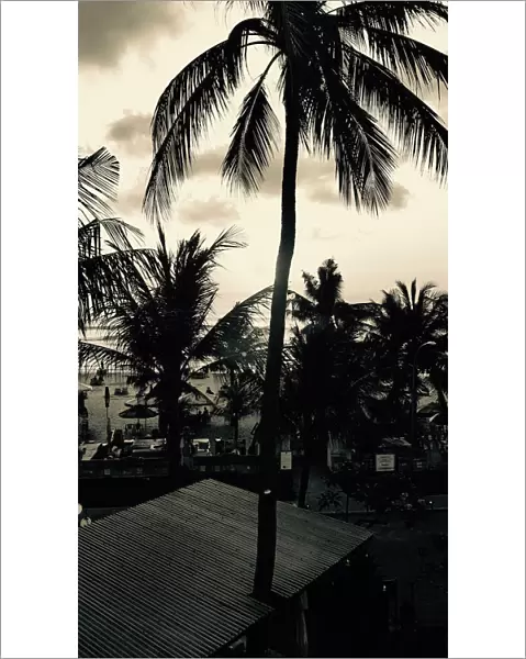 Bali Palms & Beach
