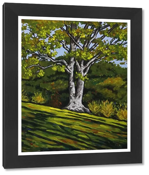 Oil Painting of Sunlight Splashing on a Tree on Green Grassy Hillside