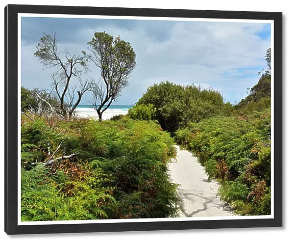 Sandy Path to the Beach, Squeaky Beach, Wilsons Promontory National Park, Victoria, Australia