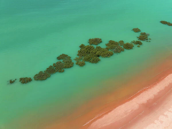 Aerial image showing mangrove trees in the Indian Ocean off Simpson Beach, Broome, Western Australia, Australia