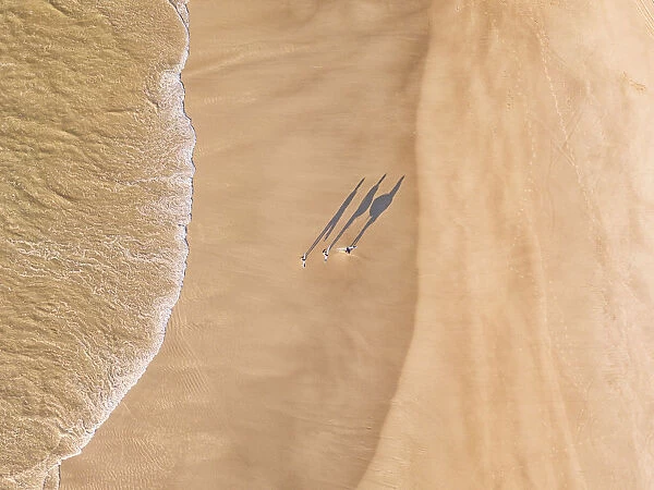 Aerial shot above a surfers walking along the beach