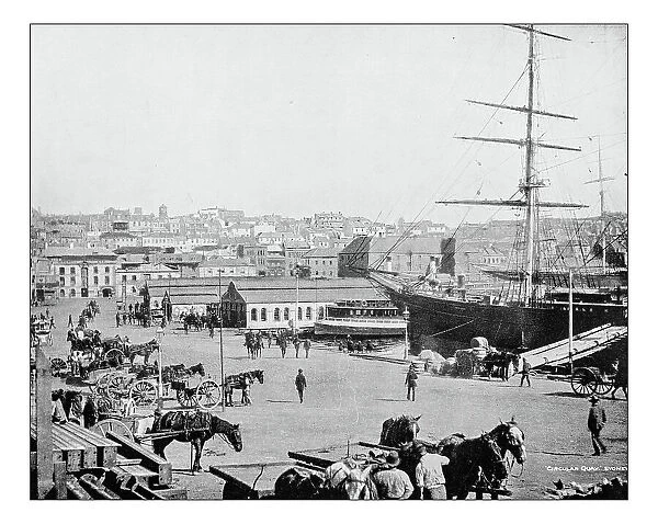 Antique photograph of Circular Quay harbour (Sydney, Australia)-19th century