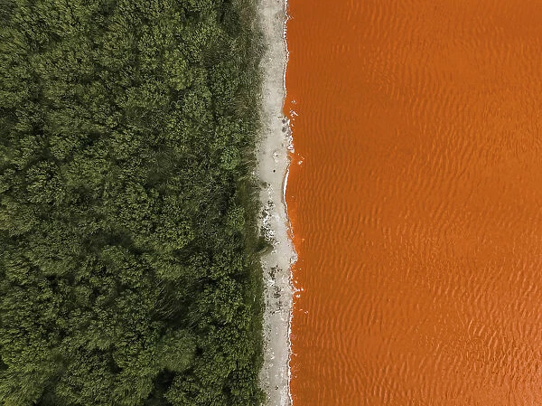 Composed drone image showing the edge of a forest and an orange coloured salt lake, South Australia, Australia