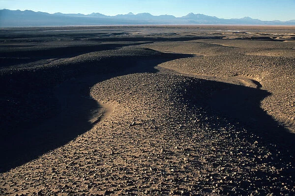 Desert plain with Andes Mountains in the background