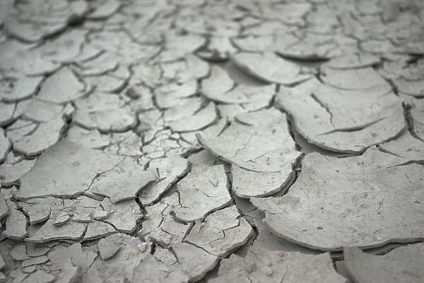 Dry season - cracked land