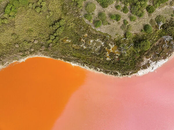 Edge of a pink and orange coloured salt lake shot from a birds-eye perspective, South Australia, Australia