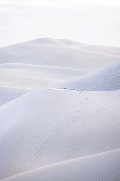 Layers of the Dunes