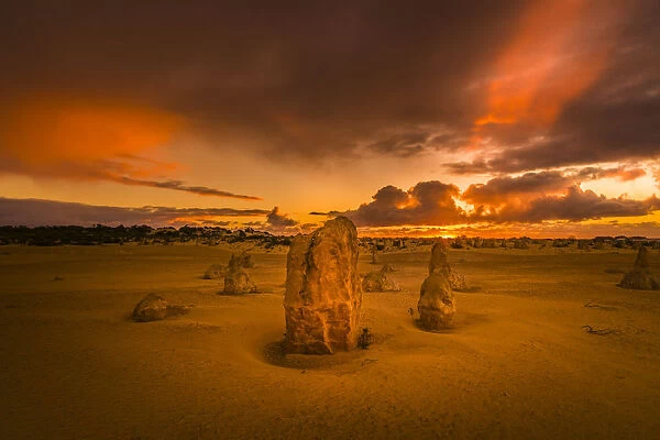 The Pinnacles Desert Of Nambung National Park, Western Australia, Australia