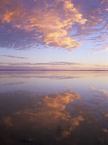 South Australia, Coongie Lakes National Park, flooded lakes at sunrise