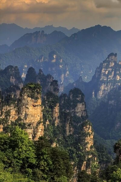 Zhangjiajie forest