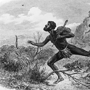 1863: Aboriginal hunters bee-hunters in the Australian bush