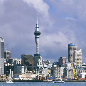 New Zealand Framed Print Collection: Auckland, North Island