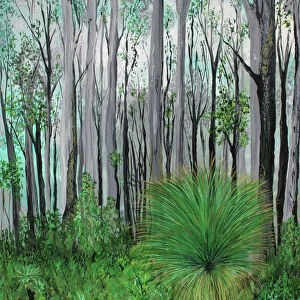 Australian Forest Beauty
