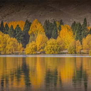 Autumn colours near Twizel, South Island, New Zealand