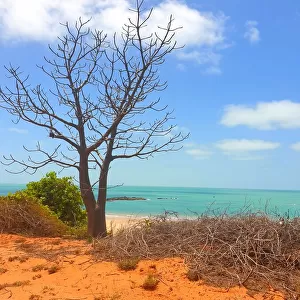 Nicola Morgan Jigsaw Puzzle Collection: Beautiful Broome in Australia's North West