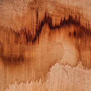 Close up photo showing wood stains, Wyndham, Western Australia, Australia