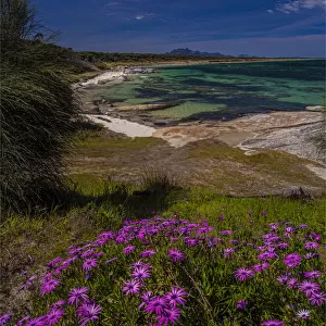 Coastal view at Blue Rocks, Flinders Island, Bass Straight, Tasmania
