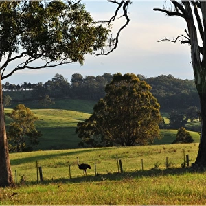 Countryside near Bairnsdale, Victoria, Australia