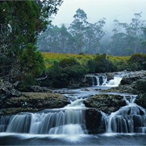 The Enchanted walk leads to Pencil Pine falls in Cradle Mountain National Park, Central Tasmania