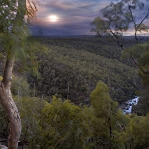 Glenbrook Gorge Blue Mountains NSW