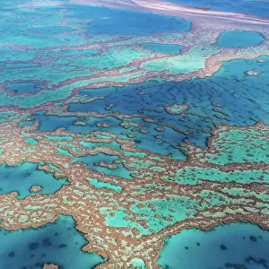Queensland (QLD) Jigsaw Puzzle Collection: Cairns