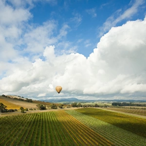 Hot air ballooning over vineyards of Yarra Valley