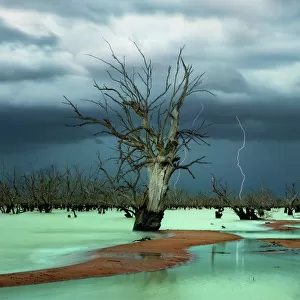 New South Wales (NSW) Jigsaw Puzzle Collection: Menindee Lakes
