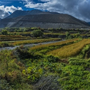 A mountain view, and harvest time in the village of Kagbeni, Annapurnas, Mustang region of Nepal