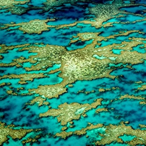 Patterns of Great Barrier Reef