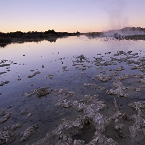 Purni Bore, Witjira National Park, South Australia