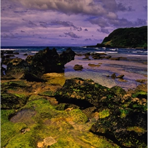 New South Wales (NSW) Metal Print Collection: Lord Howe Island