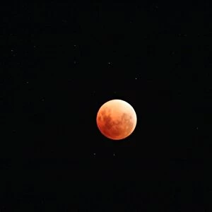 Spectacular Super Blue Blood Moon Over Perth