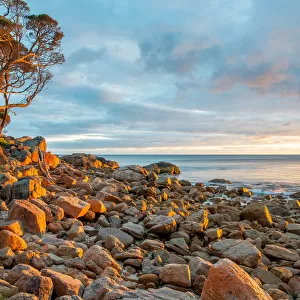 South West Jigsaw Puzzle Collection: Margaret River and Augusta