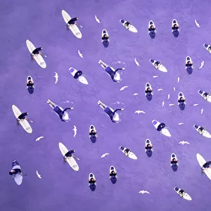 Surf and Seagull Purple Abstract Pattern