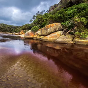 Victoria (VIC) Jigsaw Puzzle Collection: Wilsons Promontory National Park