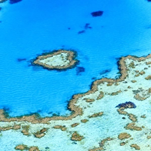 Australian Landmarks Jigsaw Puzzle Collection: Great Barrier Reef Collection