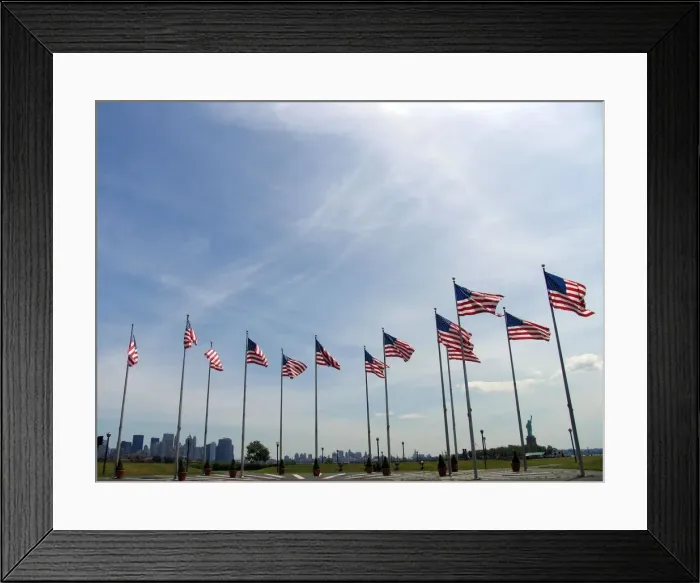 Framed Print : American Flags Framed Print : American Flags