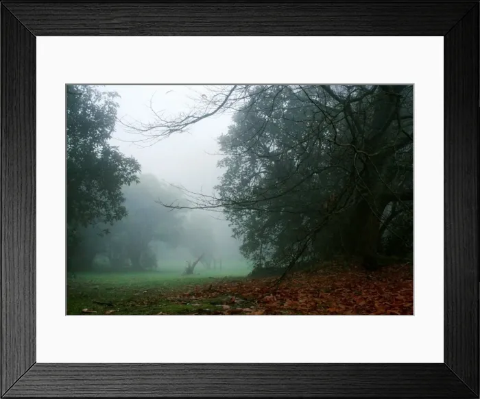 Framed Print : Arbor Day. A mystical winter