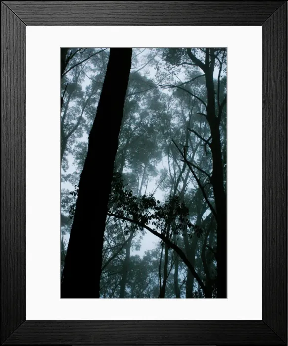 Framed Print : Arbor Day. A natural bridge Framed Print : Arbor Day. A natural bridge
