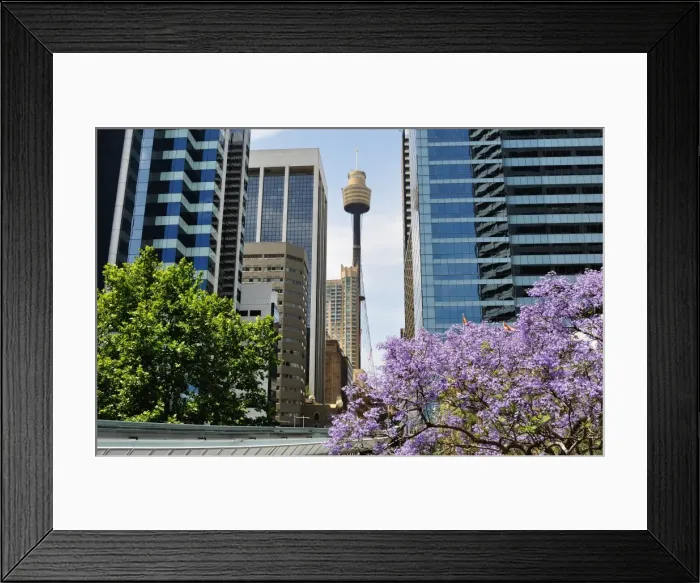 Framed Print : Downtown Sydney