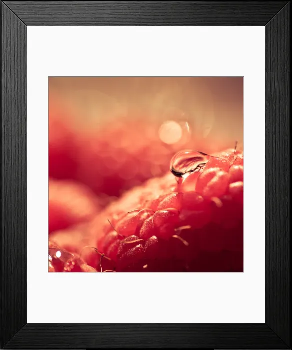 Framed Print : Raspberries