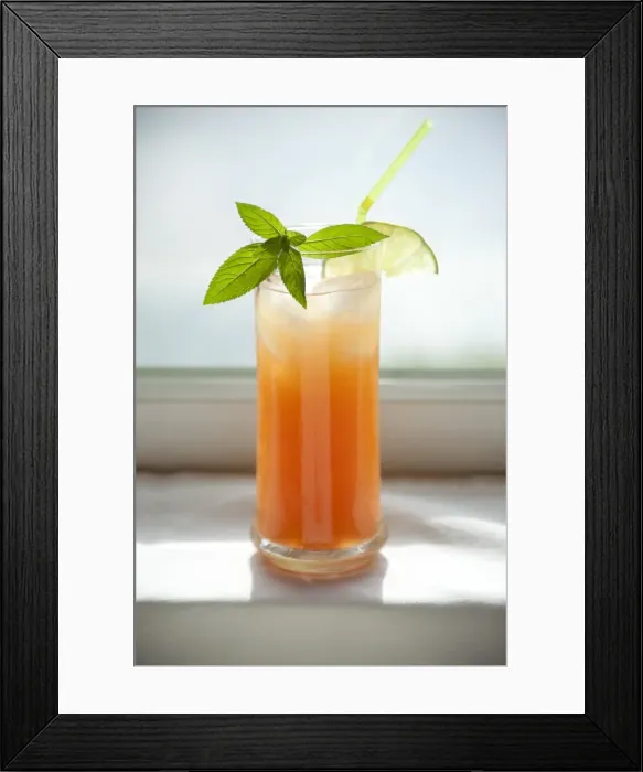 Framed Print : Sea Breeze vodka cocktail with mint sprig