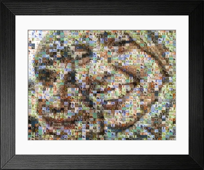 Framed Print : Portrait of two people made out of family imagery