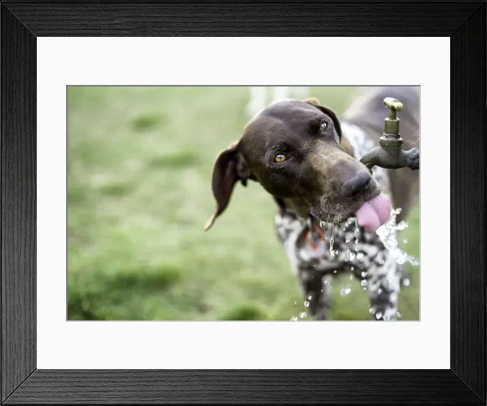 Framed Print : Re-fueling