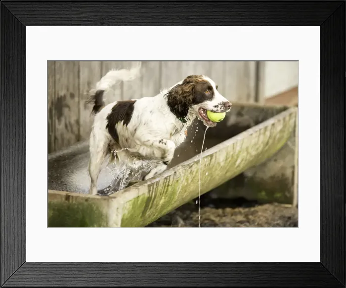 Framed Print : Cold Water Framed Print : Cold Water